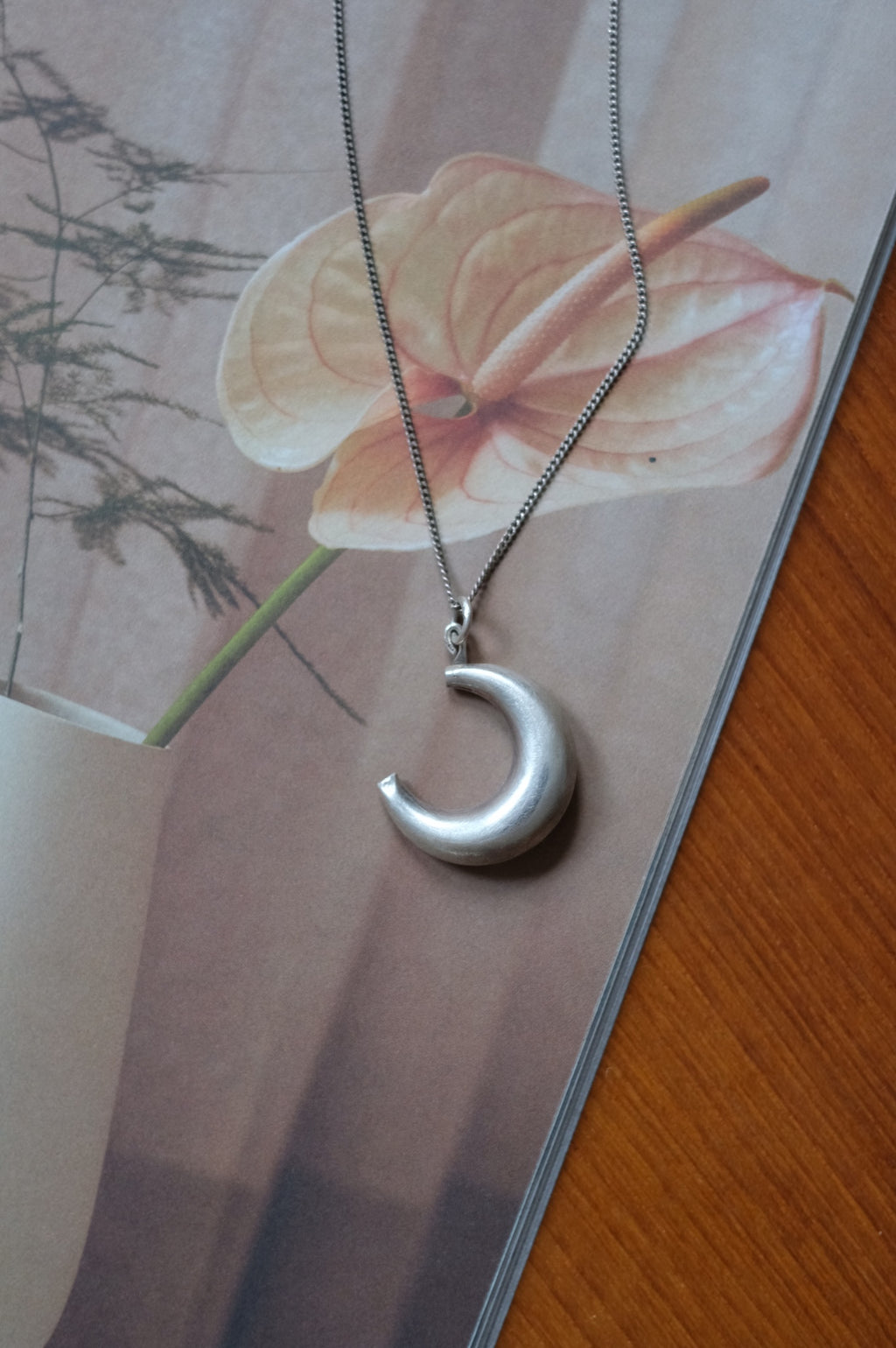 Silver Moon